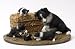 BORDER COLLIE Dog Mom n Pups meet SKUNK FIGURINE DCL62