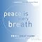 Peace Is Every Breath: A Practice for Our Busy Lives