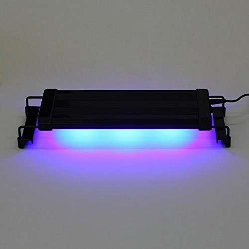Amzdeal 30CM 30 White 8 Blue Aquarium Light Dimmable Aquarium Fish Tank LED Light, 6W Lamp Fish Tank Lighting, Extendable LED Aquarium Lighting and Reef Lighting for Aquarium Fish Tank (30CM)