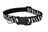 Medium Black/White Zebra Dog Collar 3/4 wide Adjusts Picture