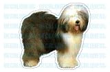 OLD ENGLISH SHEEPDOG - Dog Decal - sticker car got