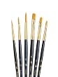 Princeton Brush Set Gold Taklon Round 1, 3, 5, Shader 2, 4, 6