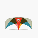 Mighty Bug 1.0 Dual line Airfoil Stunt Kite