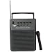 Pyle-Pro PWMA110 - Rechargeable Portable PA System with Wireless Mic