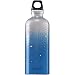 Sporting Goods : SIGG Switzerland Circles Cobalt - .06L
