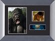 King Kong (Series 3) Framed Mini Film Cell Presentation