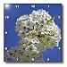 Flowers in a Blue Sky- Flowering Tree- Spring Photography - 10x10 Wall Clock