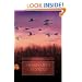 Mississippi Flyway