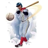 Instant Murals Baseball Wall Transfer Stickers Instant Murals Baseball Wall Transfer Stickers