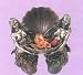 Art Nouveau Gift of the Nymphs Detailed Design & Finish