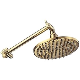 Danze D451159PBV Eight-Inch Sunflower Showerhead with Nine-Inch Extension Arm, Polished Brass