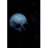 Requiem II: Text in English and Ukrainian