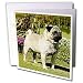   - Dogs Pug - Fawn Pug - Greeting Cards-12 Greeting Cards with envelopes