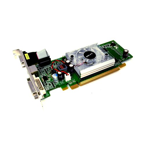PNY VCG84R2SXEB Low Profile GeForce 8400GS 256MB DDR2 DVI+VGA PCI-E 2.0 Generation 2 Graphics Card - Retail