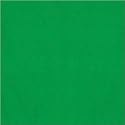 Green Tissue Paper (8 sheets)