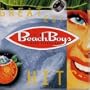 The Beach Boys Greatest Hits: 20 Good Vibrations