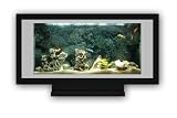 Aqua Bella Aquarium
