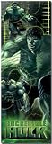  : The Incredible Hulk (Action, Door) Framed Movie Poster Print - 24" X 60"