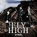FLY HIGH（初回A）＋DVD(イベント参加券付）