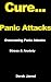 Cure Panic Attacks - #1 Guide To Overcome Panic Attacks, Anxiety And Stress