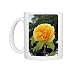 PM-10368 Rose - Graham Thomas Photo Mugs
