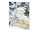 Polar Bear Hug - Holiday Greeting Card