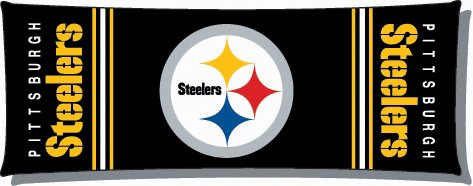 Pittsburgh Steelers - NFL 19