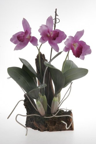 Cattleya w/Root Base Silk Orchid Plant – Lavender