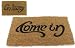 Kitchen & Housewares : Come in/Go away Door Mat
