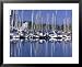 Royal Yacht Club, Vancouver, British Columbia, Canada Framed Art Poster Print by Rob ...