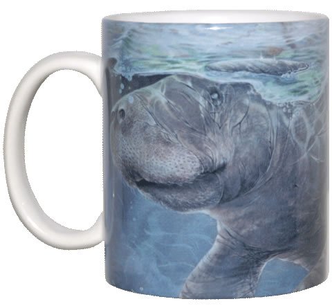 Manatee Gathering 11 Oz. Ceramic Coffee Mug