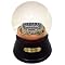 Hubert H Humphrey Metrodome Musical Globe - Football Field Configuration