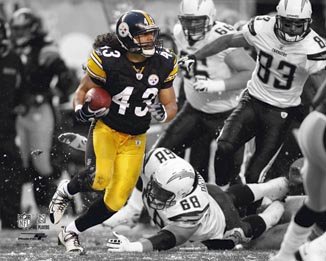 Troy Polamalu Steelers 8x10 Photograph AALG230