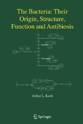 The Bacteria: Their Origin, Structure, Function and Antibiosis 2006 edition by Koch, Arthur L. (2007) Paperback
