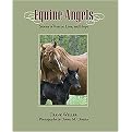 Equine Angels (Stories of Rescue, Love, and Hope) (Hardcover)