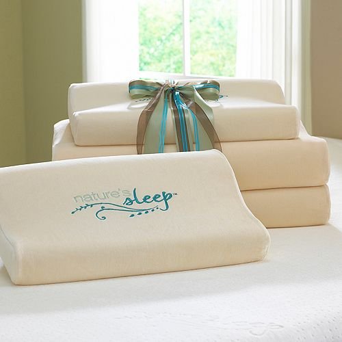 Natures Sleep Contour Visco Foam Pillow