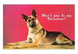 Wont You be My Valentine? Quizzical German Shepherd Subject Art Poster Print, 18x13