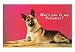 Wont You be My Valentine? Quizzical German Shepherd Art Poster Print, 18x13