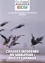 Chasses modernes du migrateur : oies et canards