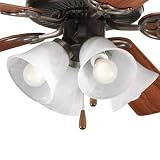Progress P2610-20 Traditional / Classic Bronze Light Kit