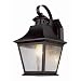 41gnS2NPejL. SL75  Trans Globe Lighting 4632 BN 14 1/2 Inch 1 Light Outdoor Down Wall Lantern, Brushed Nickel