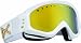 Sports : Anon GOGGLES Schneebrille MAJESTIC PAINTED MIRROR