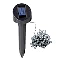 S&uuml;d Solar 03448 Solar-Lichterkette mit 48 LEDs