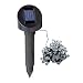 S�d Solar 03448 Solar-Lichterkette mit 48 LEDs