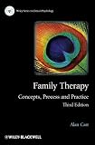 Family therapy : concepts, process and practice