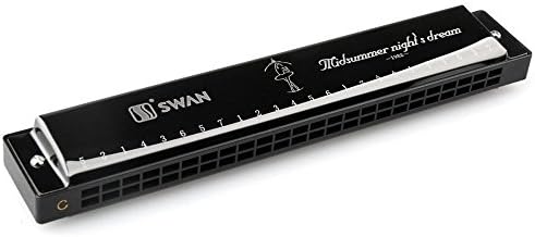 Rtoce The 24 hole tremolo harmonica C (black)