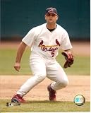 Albert Pujols St. Louis Cardinals Fielding 8x10 Color Photo