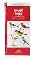 Idaho Birds