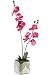 Orchids In Square Mosaic Mirrored Planter