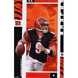 (24x36) Cincinnati Bengals (Carson Palmer with Football) Sports Poster Print